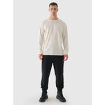 Men's oversize longsleeve with print 4F 4FRAW24TLONM507-83S hosszú ujjú póló