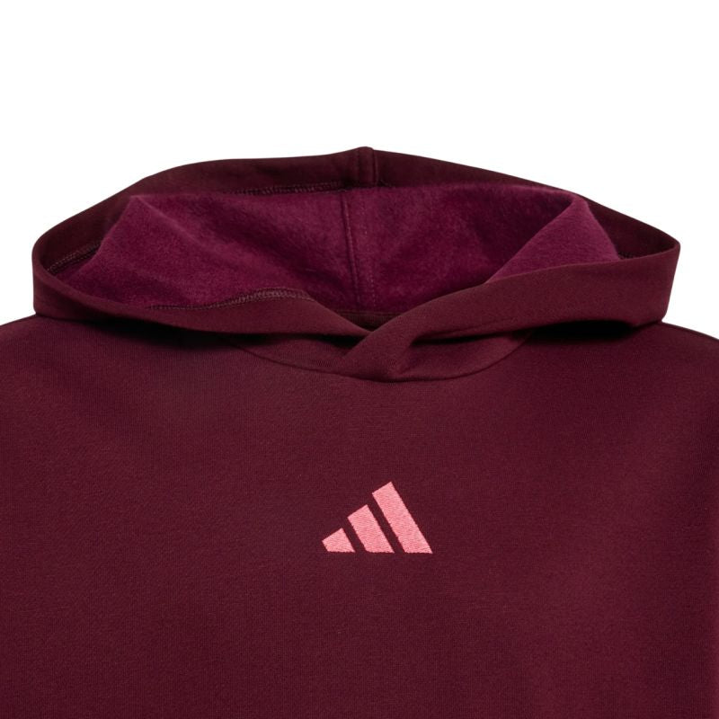 Adidas Essentials Hoodie for kids, bordó gyerek kapucnis pulóver KT3380