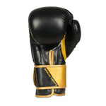 DBX Bushido 10oz Boxing Gloves - Infinity - Origin Series kesztyű