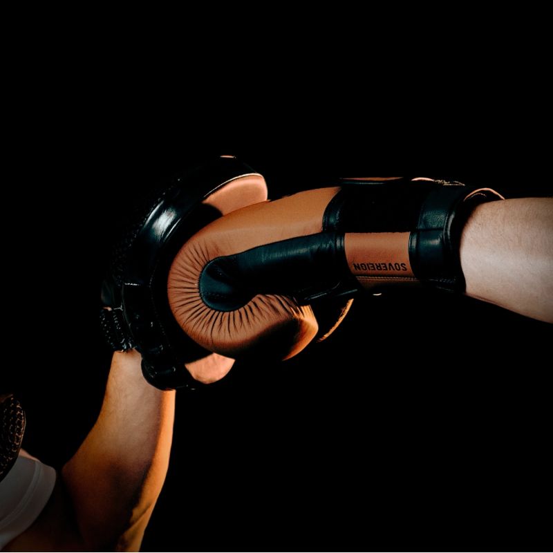 DBX Bushido SOVEREIGN Multi-Layer Leather Boxing Gloves - Legacy Series | kesztyű
