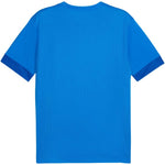 Puma teamGoal Matchday Jersey 705747 kék póló