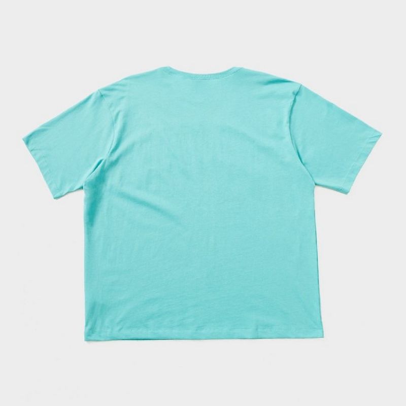 AIR Jordan Men's Brooklyn Arch Logo T-shirt Washed Teal - póló