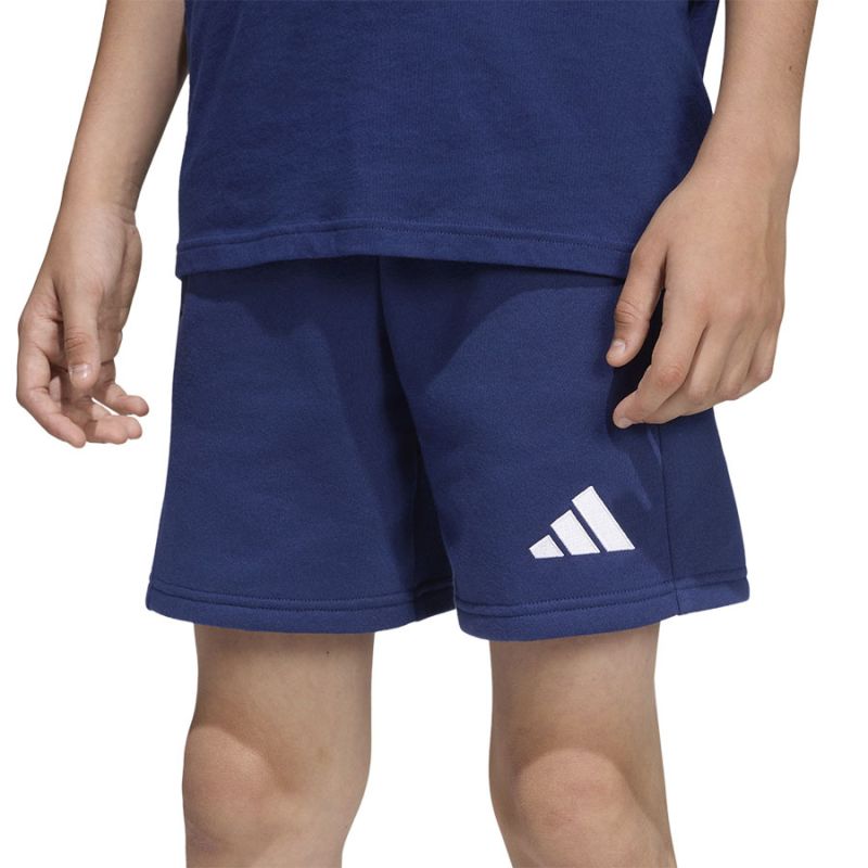 Kép alternatív szöveg