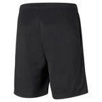 Puma teamRISE Training Shorts