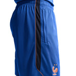 Nike France Dri-Fit FFF Strike Men's kék short