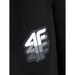 4F Men's jogger sweatpants férfi nadrág 4FRAW26TTROM2176-20S