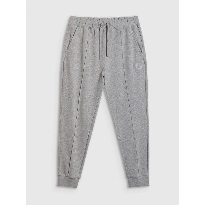 Men's jogger sweatpants 4F 4FRAW25TTROM1671-27M