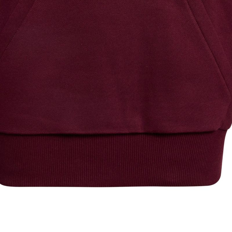 Adidas Essentials Hoodie for kids, bordó gyerek kapucnis pulóver KT3380