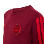 Adidas Arsenal FC Kids' T-Shirt bordó póló KG5137