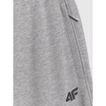 Men's jogger sweatpants 4F 4FRMM00TTROM1624-27M 2xl melegítőnadrág