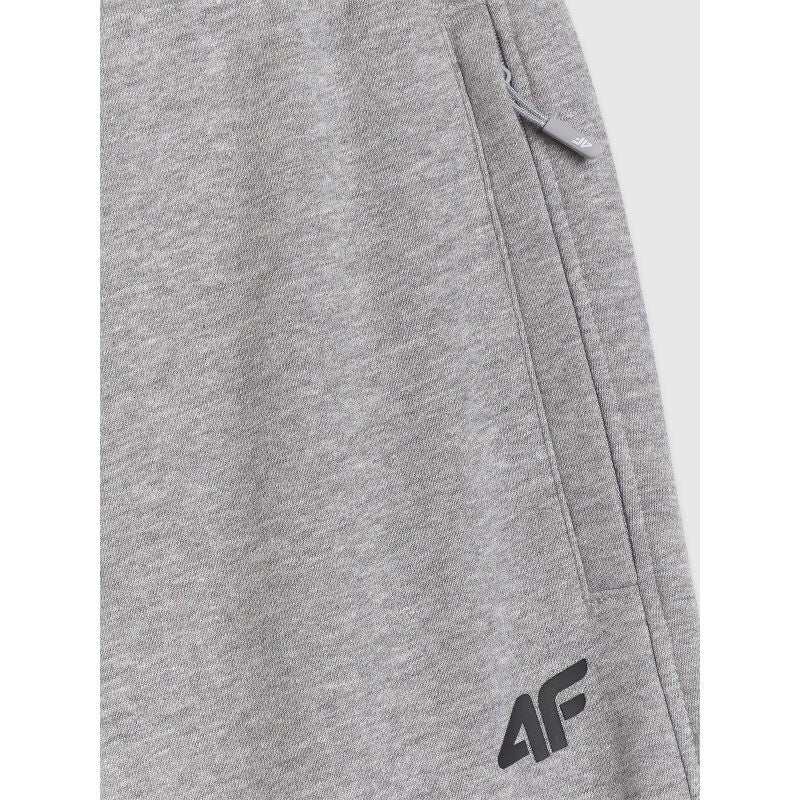 Men's jogger sweatpants 4F 4FRMM00TTROM1624-27M 2xl melegítőnadrág