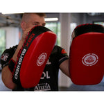 DBX Bushido PAO training shield made of natural leather training equipment, shields