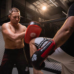 DBX Bushido PAO training shield made of natural leather training equipment, shields