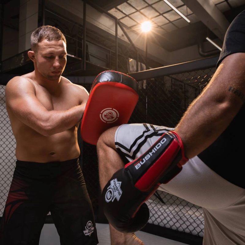 DBX Bushido PAO training shield made of natural leather training equipment, shields
