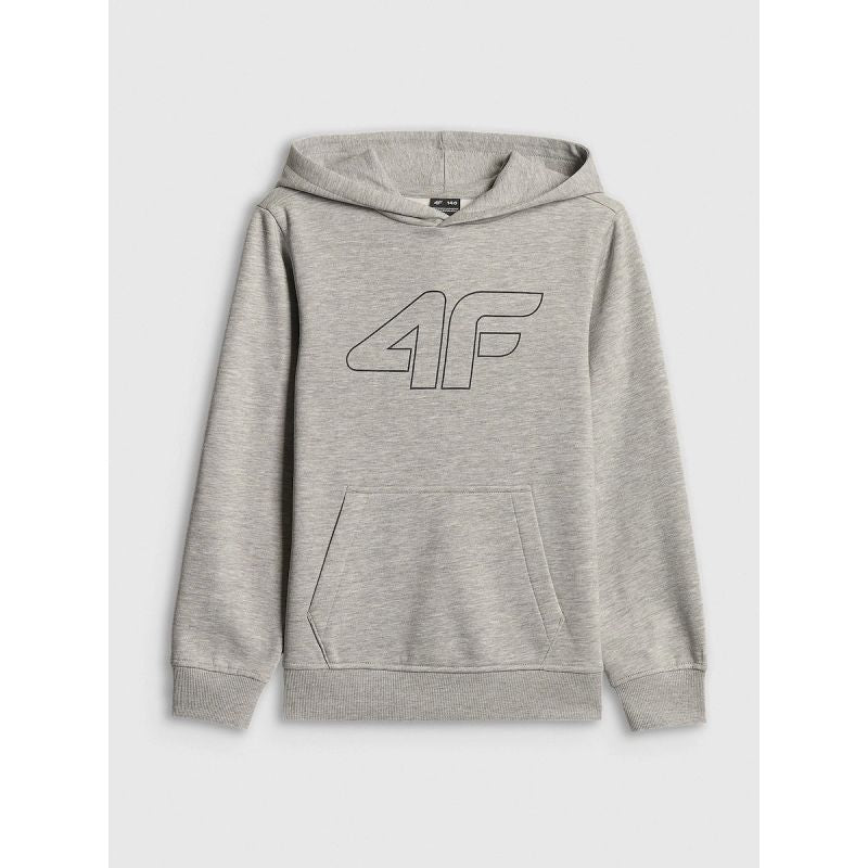 Boy's regular hooded sweatshirt 4F 4FJRSS26TSWSM2748-25M sweatshirts