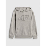 Boy's regular hooded sweatshirt 4F 4FJRSS26TSWSM2748-25M sweatshirts