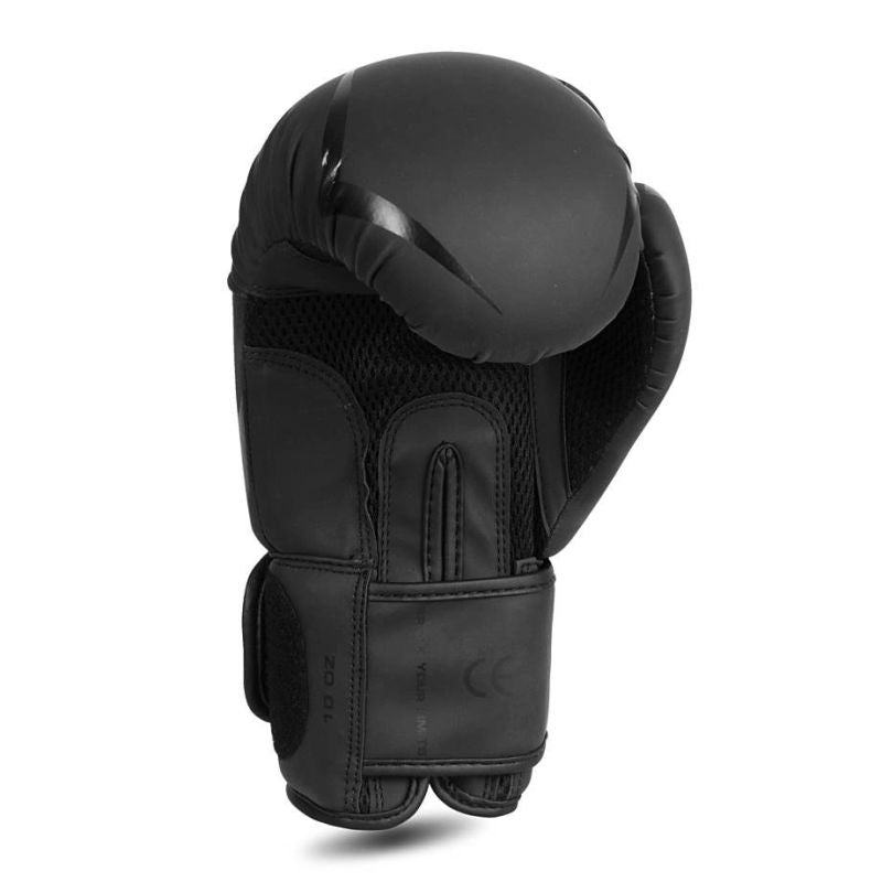 DBX Bushido 10oz Boxing Gloves - Raptor - Origin Series fekete kesztyű