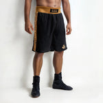 DBX Bushido GOLD training boxing ezüst short