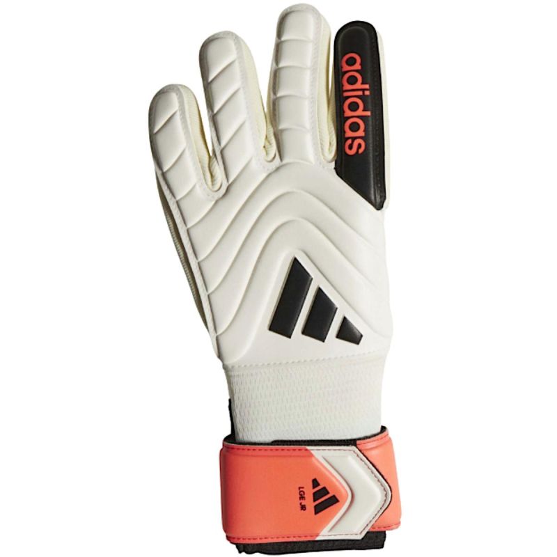 Adidas Copa Gl Lge Jr Goalkeeper Gloves S.6 clothing