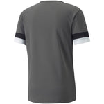 Puma teamRISE Jersey Póló