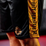 DBX Bushido GOLD training boxing ezüst short