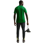 Men's Nike Dri-Fit Park VIII T-shirt green HV8173 zöld póló