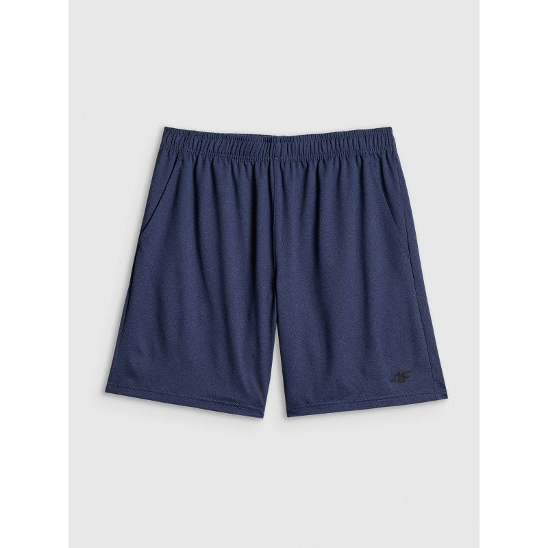 4F Men's quick-drying training 3xl nadrág 4FWSS26TFSHM1277-31M