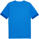 Puma teamGoal Matchday Jersey 705747 kék póló