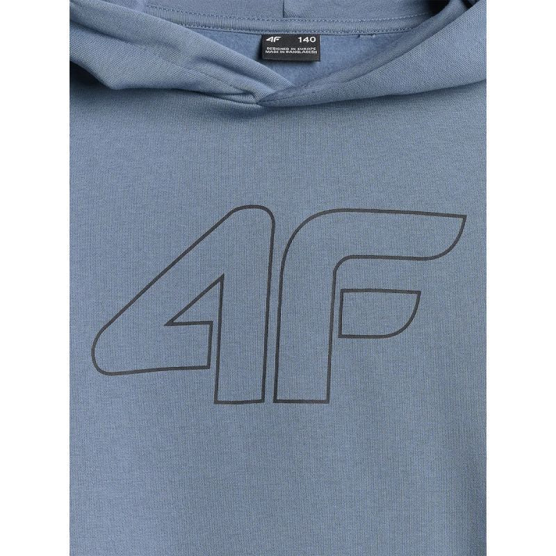 Boy's regular hooded sweatshirt 4F 4FJRSS26TSWSM2748-32S sweatshirts