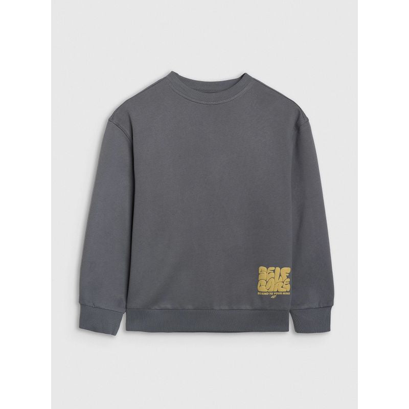 4F JUNIOR sweatshirt 4FJRAW25TSWSM2448-22S póló