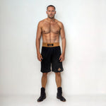DBX Bushido GOLD training boxing ezüst short