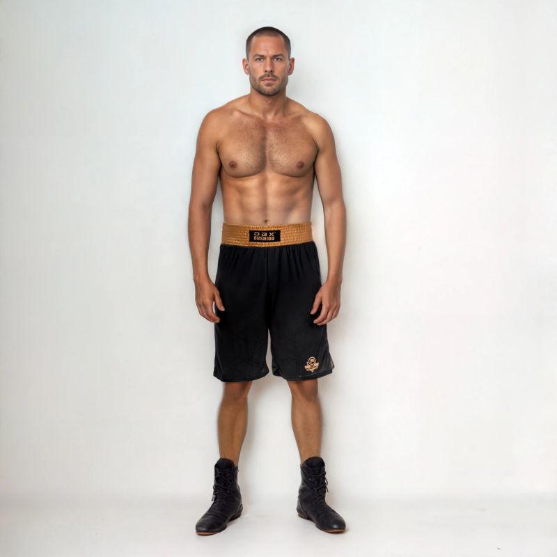 DBX Bushido GOLD training boxing ezüst short