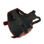 DBX Bushido DBX Guardian Pro Torso + Thigh Protector Set protectors and knee pads, sets