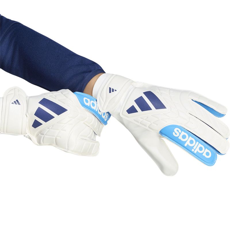 Adidas Copa GL Club Gloves kapuskesztyű KE9731