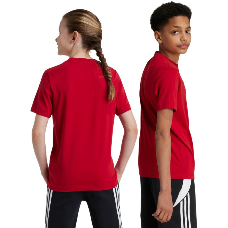 Kép alternatív szöveg