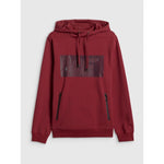 4F Men's regular hooded sweatshirt pulóver 4FRSS26TSWSM2975-61S