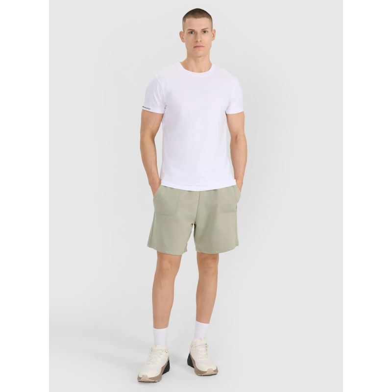 Men's regular plain T-shirt 4F 4FRSS25TTSHM3041-10S 3xl póló