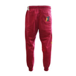 AIR Jordan Flight MVP Tracksuit - tracksuits, pants