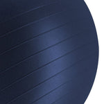 Gym 65cm BLUE FITBALL 65 cm labda