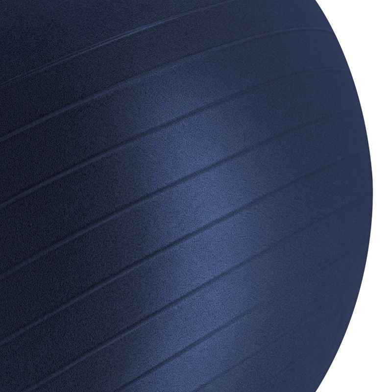 Gym 65cm BLUE FITBALL 65 cm labda