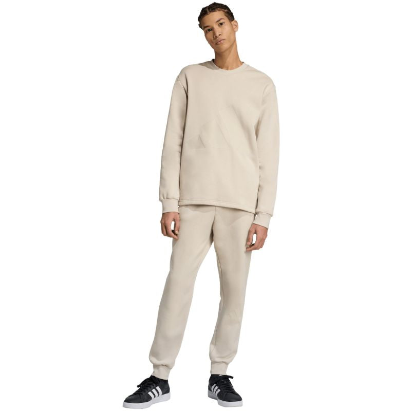 adidas Men's Sportswear Big Logo Fleece Colorblock Tracksuit Beige JX5572 Kiegészítő