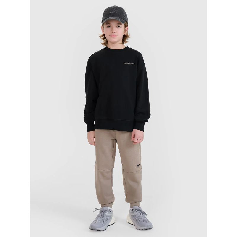 4f Boys' sweatshirt without hood, no zipper 4FJWSS25TSWSM1713-20S Kiegészítő