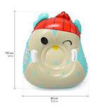 Meteor Owl Snow Slide