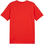Puma teamGOAL Casuals Póló