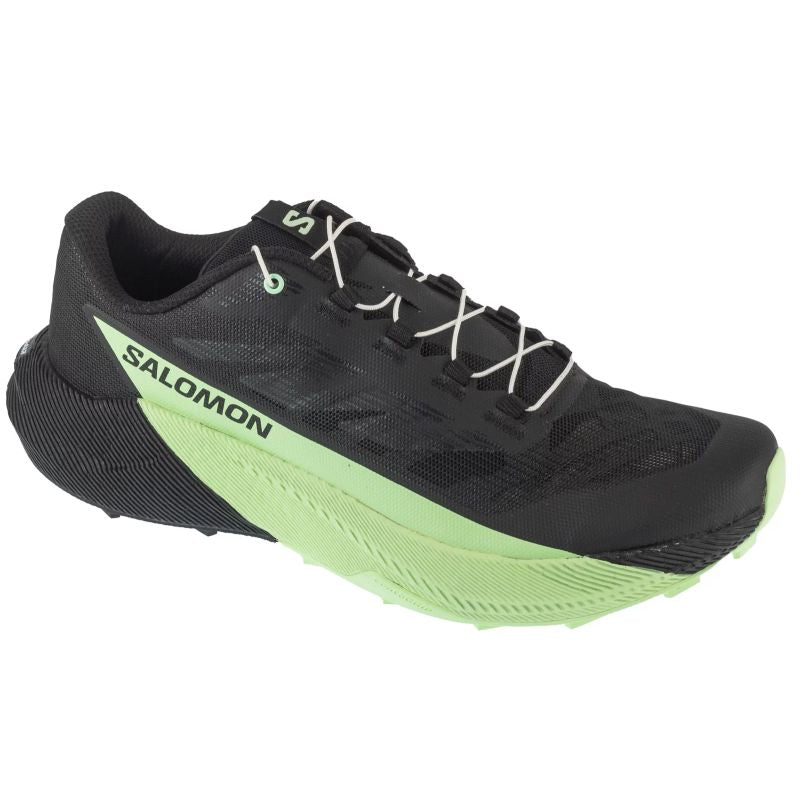 Salomon Pulsar L47887800 Black 41 1/3 General