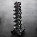 HMS CHD DUMBBELL SET 2 x 1 - 8 KG (72 KG) + STR36 RACK kiegészítő 17-62-143