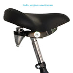 3-Wheel Bike 24 Inches Black 1-Speed