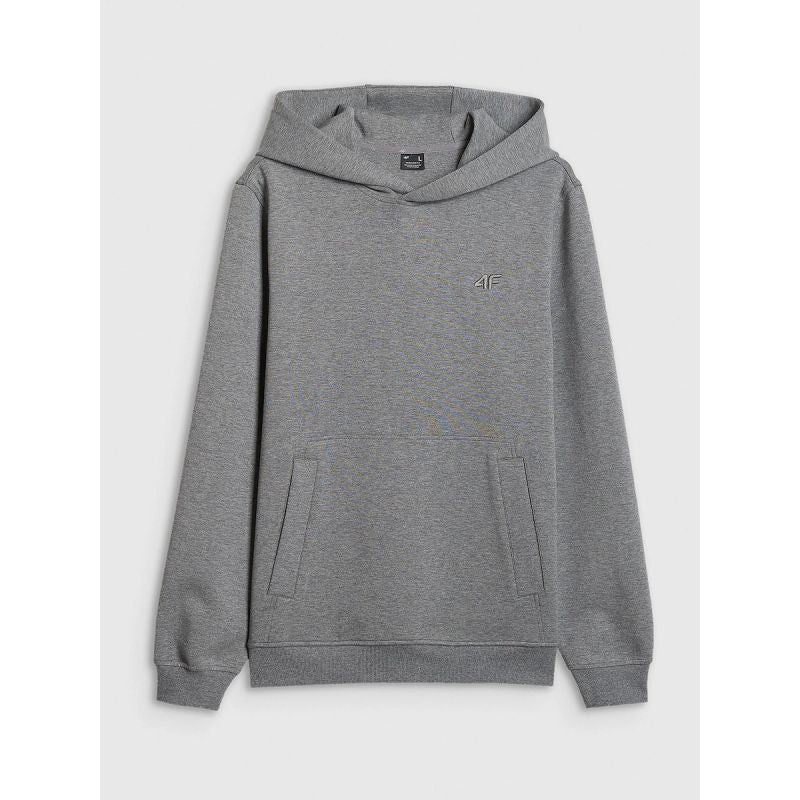 Men's regular hooded sweatshirt 4F