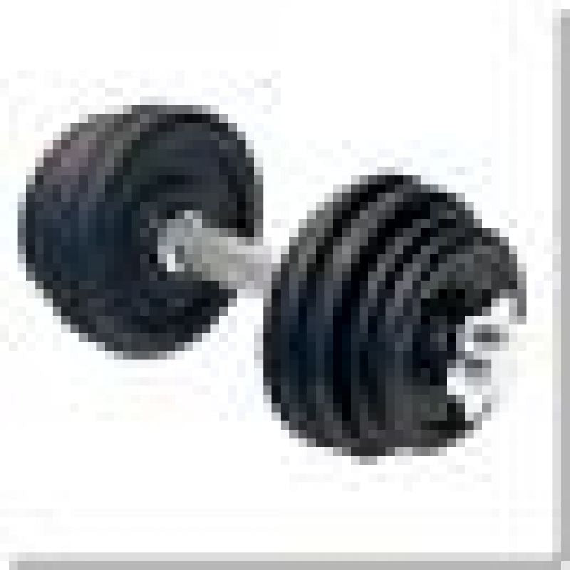 HMS Threaded dumbbell SG01 7 kg fekete edzőfelszerelés 17-59-123