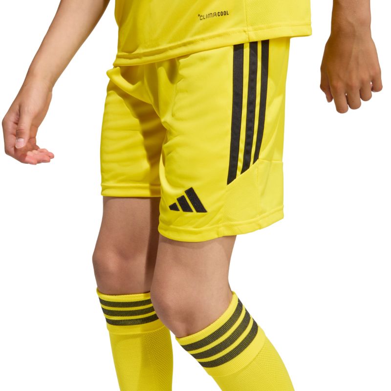 Kép alternatív szöveg